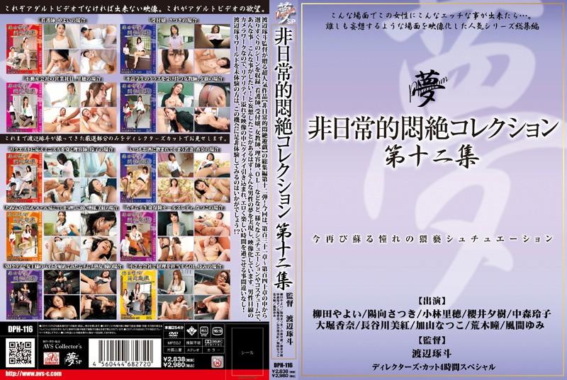 DPH-116 JAV