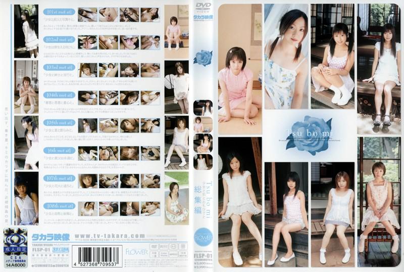 FLSP-01 JAV