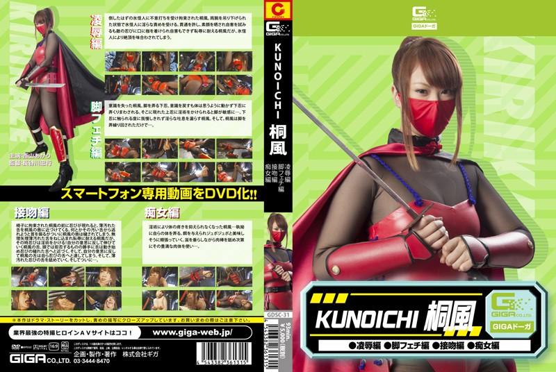 GDSC-31 JAV