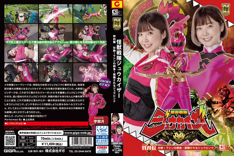 GIGP-34 JAV