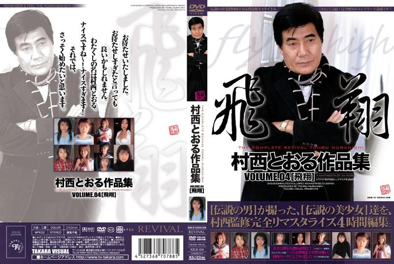 NICE-04 JAV