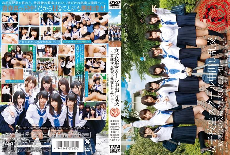 T28-384 JAV