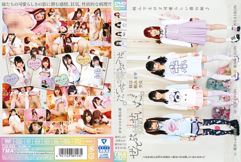 T28-503 JAV