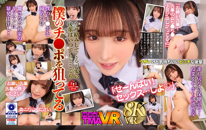 TMAVR-213 JAV