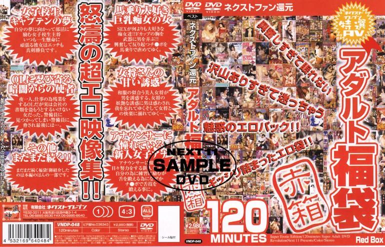 VNDP-048 JAV