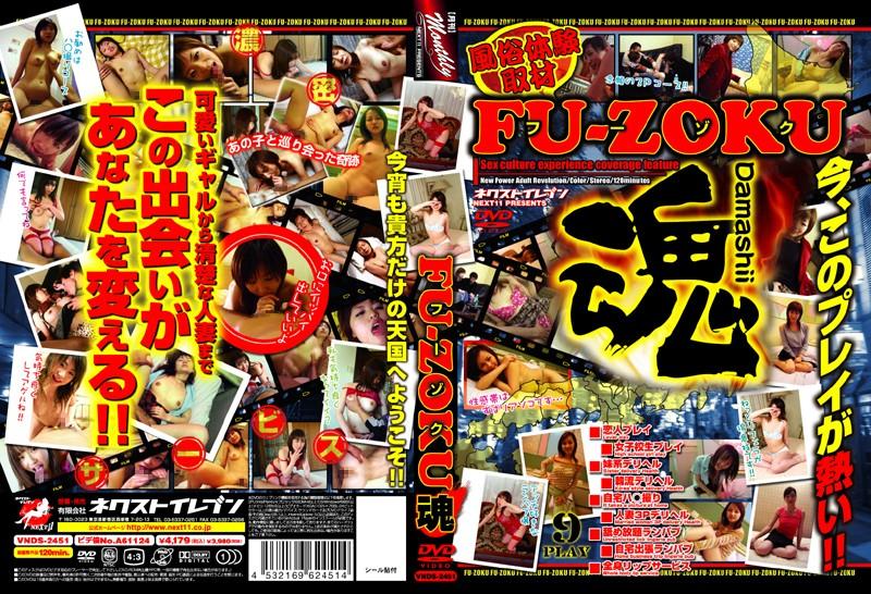 VNDS-2451 JAV