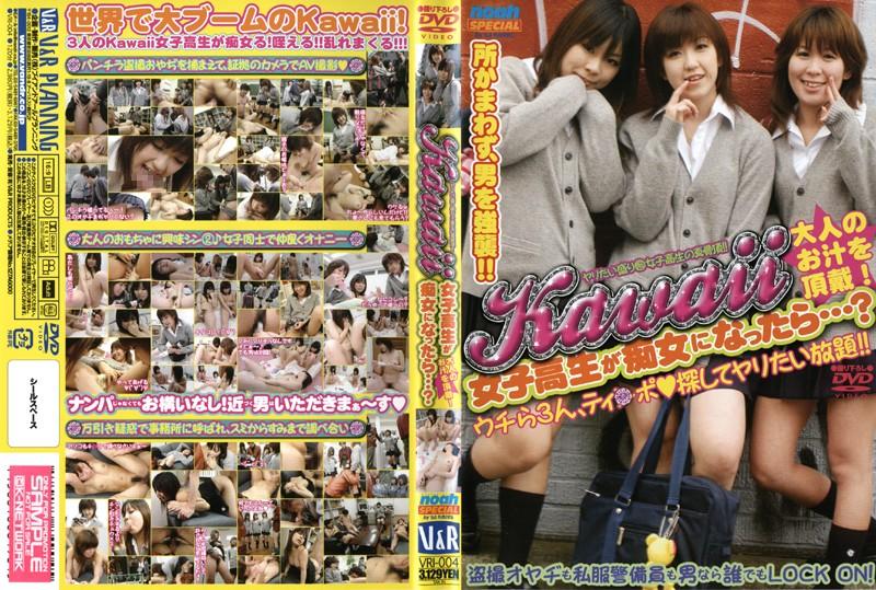 VRI-004 JAV